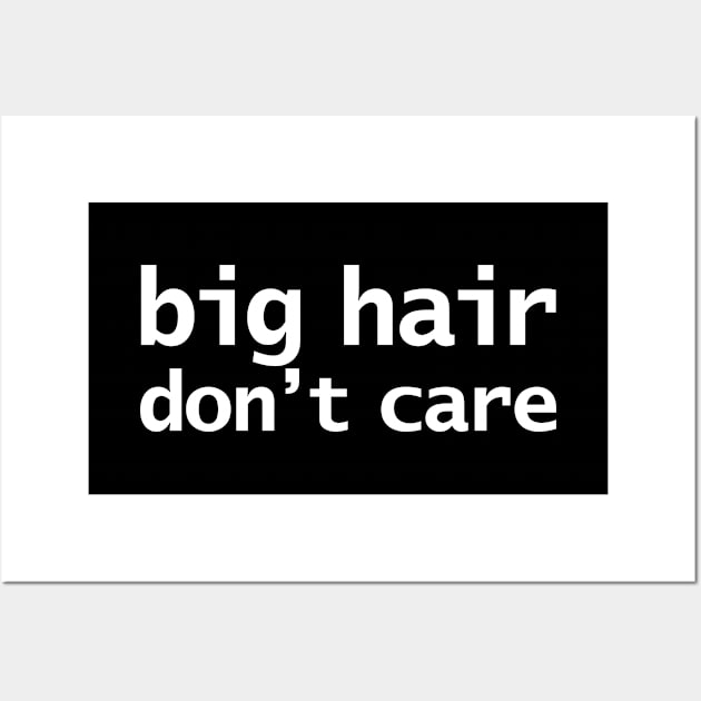 Big Hair Dont Care Funny Typography Wall Art by ellenhenryart